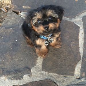 Meet your Posher, Patty