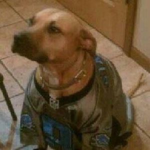 Meet your Posher, Angellina