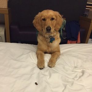 Meet your Posher, Kim