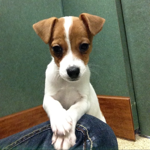 Meet your Posher, Sammi