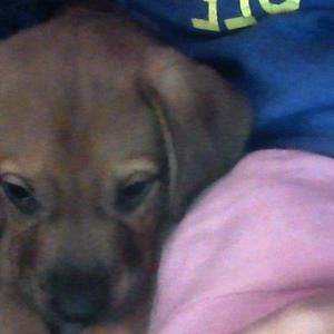 Meet your Posher, Linda