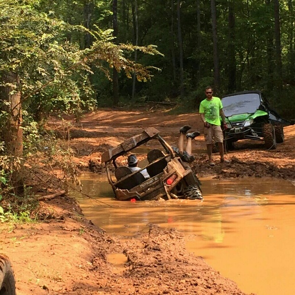 Meet Your Seller, Taryn. 🍁☕📚 - Picture 3 of 3