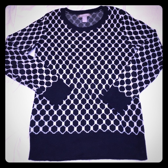 Banana Republic navy and white sweater