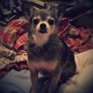 Meet your Posher, Paulette