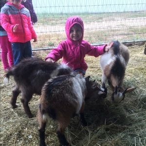 Meet your Posher, Amanda