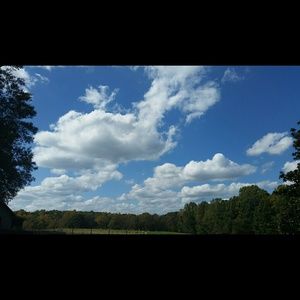 Meet your Posher, Ginny