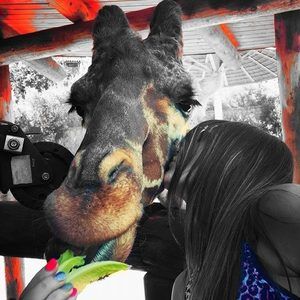 Meet your Posher, Jackie