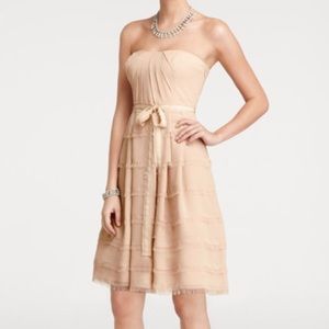 Ann Taylor Blush Bridesmaid Dress