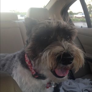 Meet your Posher, Nikki