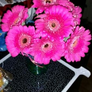 Meet your Posher, Sonia