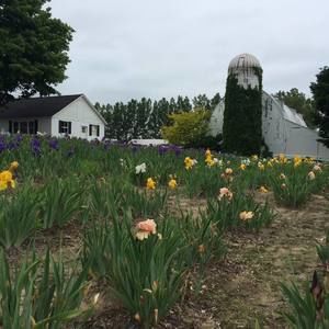 Meet your Posher, Alison