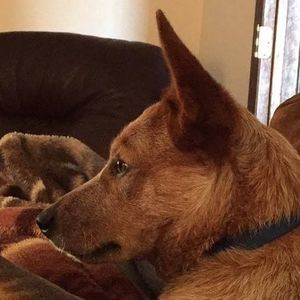 Meet your Posher, Katelyn