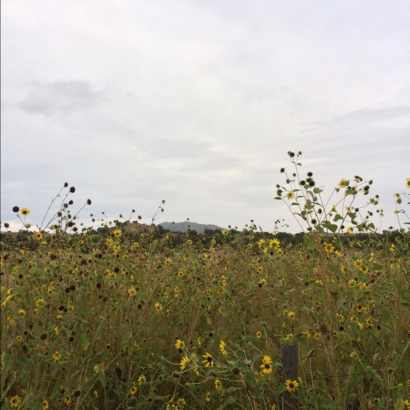 Sorry I've been gone!! 😔😘