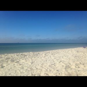 Meet your Posher, Autumn