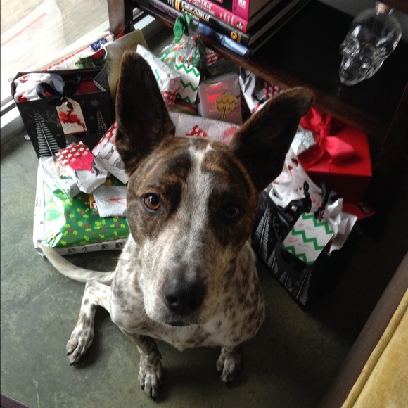 Meet your Posher, A - Picture 2 of 3