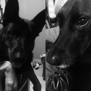 Meet your Posher, Katlyn