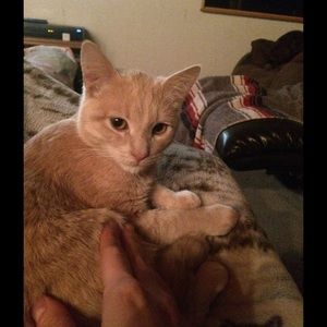 Meet your Posher, Jenny