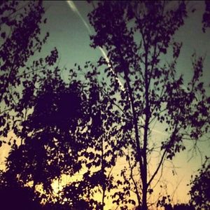 Meet your Posher, Keri