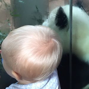 Meet your Posher, Phil