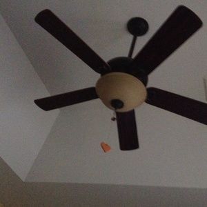 Meet your Posher, Joann