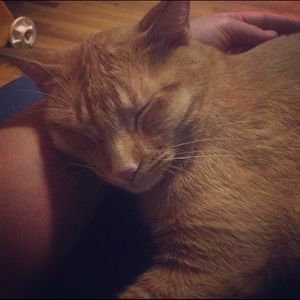 Meet your Posher, Jocelyn