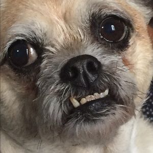 Meet your Posher, Janna