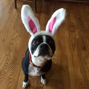 Meet your Posher, Jane