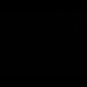 Meet your Posher, Kiara