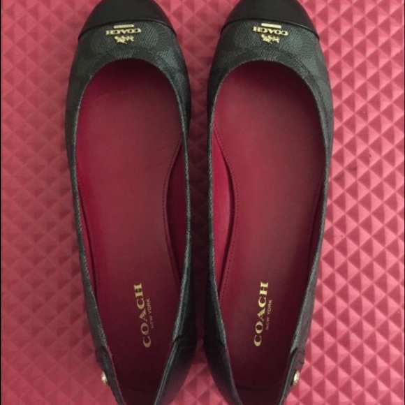 coach chelsea flat shoes