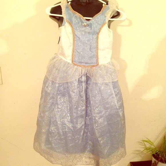 Disney Princess Costume