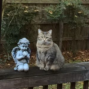 Meet your Posher, Sandy