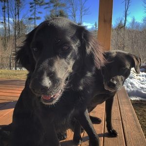 Meet your Posher, Lacey