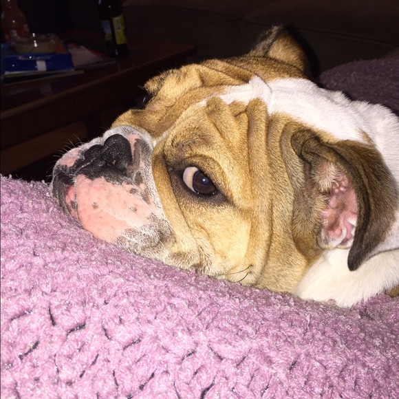 Meet your Posher, Shelagh - Picture 1 of 1