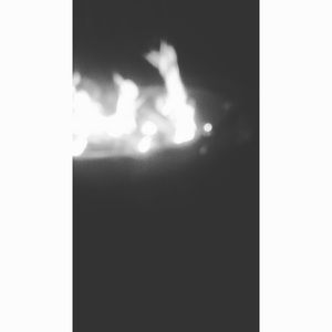 Meet your Posher, Trevor