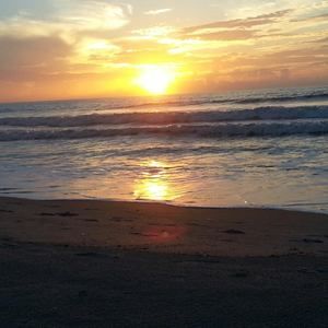 Meet your Posher, Dan