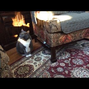 Meet your Posher, Meg