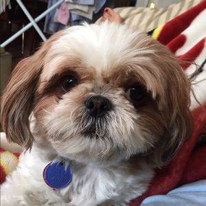 Meet your Posher, Gina