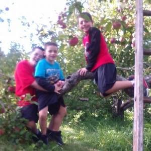 Meet your Posher, Shelley