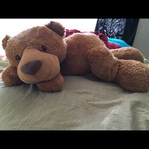 GIANT Teddy bear 😁