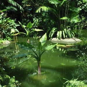 Meet your Posher, Daisy