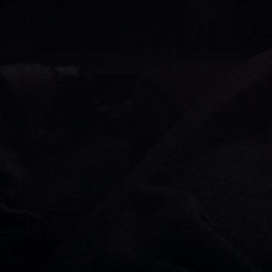 Meet your Posher, Terry