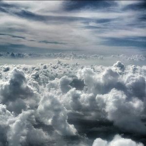 Meet your Posher, Ariel