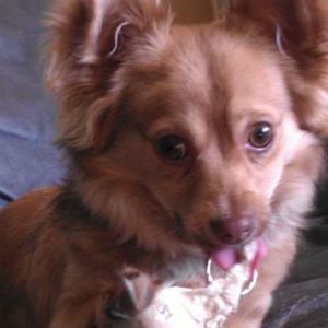 Meet your Posher, Gianna