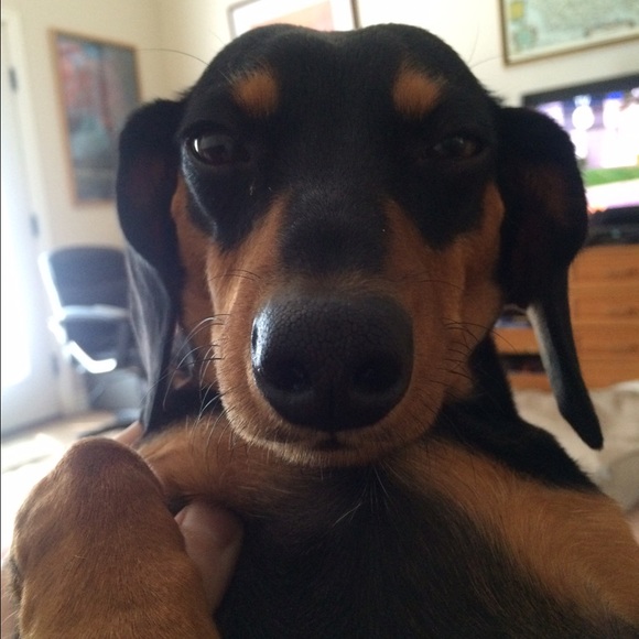 Meet your Posher, Heather