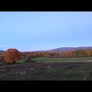 Meet your Posher, Yvette