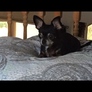 Meet your Posher, Lori