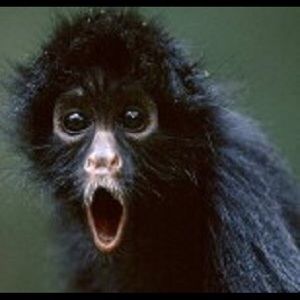 Meet your Posher, Juana