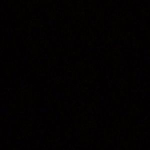 Meet your Posher, Manuela