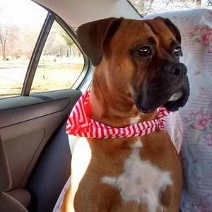 Meet your Posher, Denise