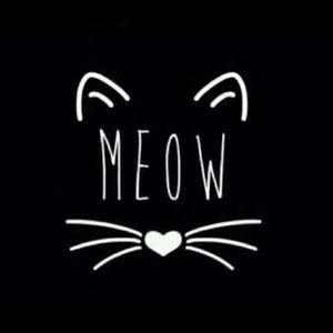 Meet your Posher, Darlene